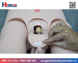 Mô hình thực hành điều dưỡng bệnh nhân cao cấp 21 mô hình thực hành điều dưỡng