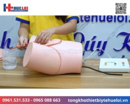 Mô hình đặt sonde tiểu và thụt tháo nam nữ