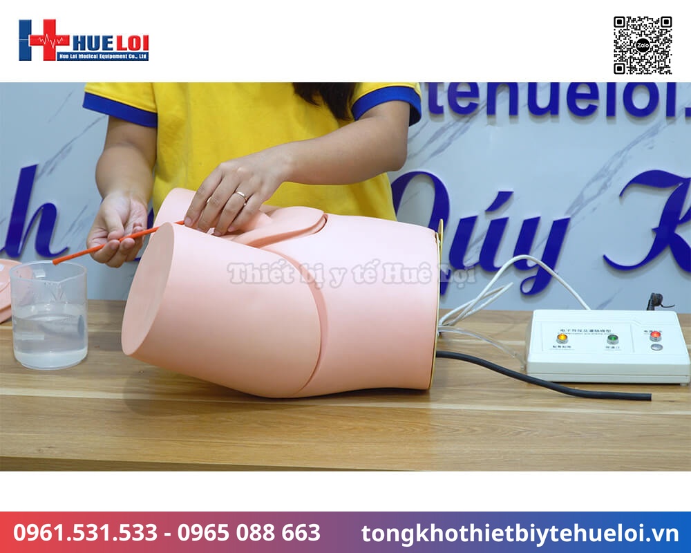Mô hình đặt sonde tiểu và thụt tháo nam nữ