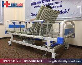 Giường y tế đa năng A01-II