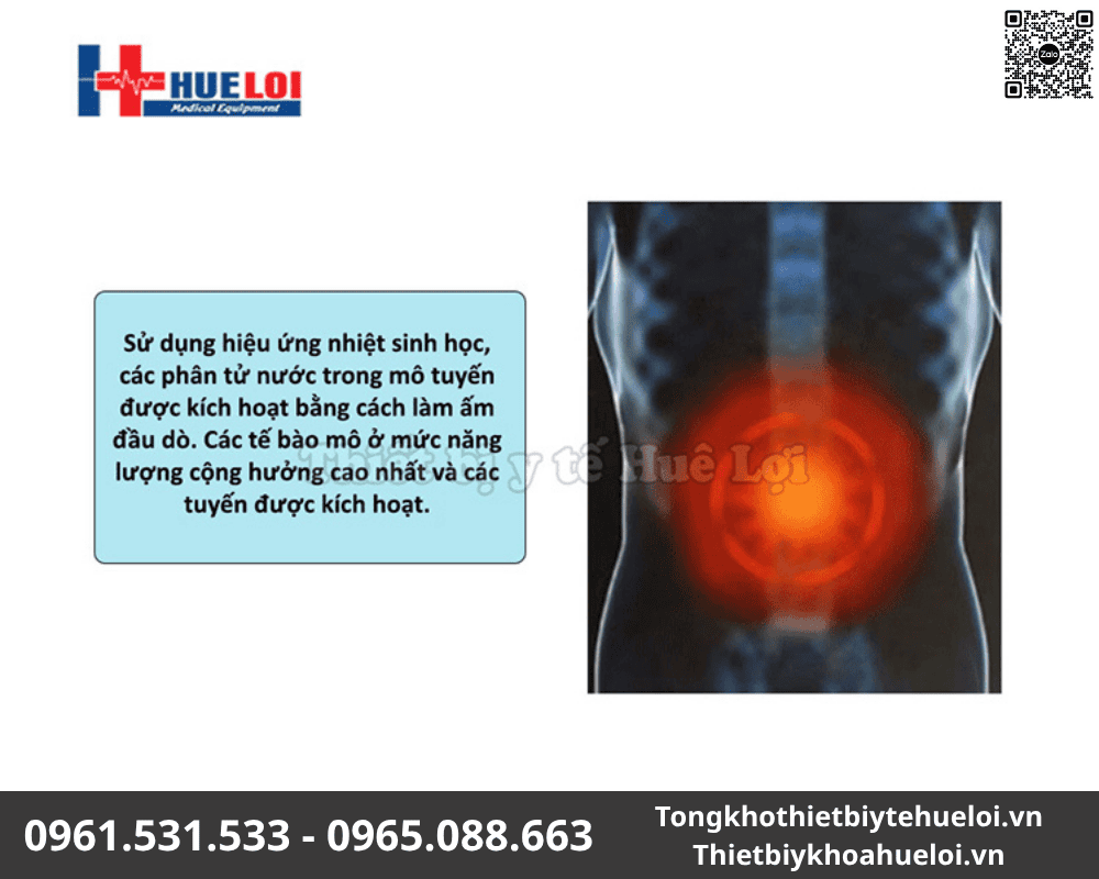 thiết bị nam khoa
