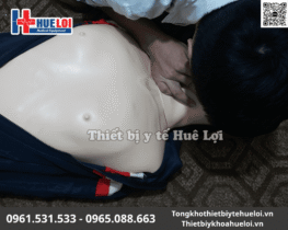 mô hình hô hấp nhân tạo