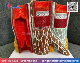 mô hình động mạch tĩnh mạch