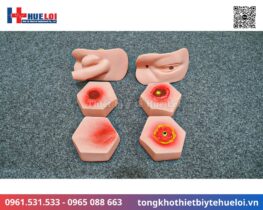 Mô hình thực hành điều dưỡng bệnh nhân cao cấp 19 mô hình thực hành điều dưỡng