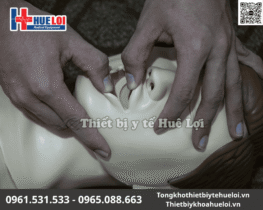 mô hình ép tim thổi ngạt giá rẻ