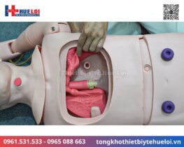 Mô hình thực hành điều dưỡng bệnh nhân cao cấp 18 mô hình thực hành điều dưỡng