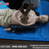 mô hình cấp cứu ngừng tuần hoàn