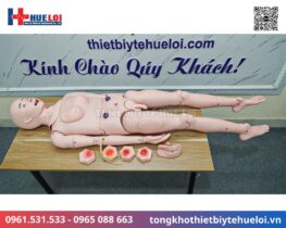 Mô hình thực hành điều dưỡng bệnh nhân cao cấp 17 mô hình thực hành điều dưỡng