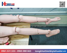 Mô hình thực hành điều dưỡng bệnh nhân cao cấp 15 mô hình mô phỏng chăm sóc bệnh nhân