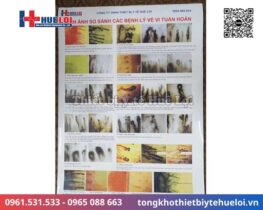 máy soi vi tuần hoàn DN-880