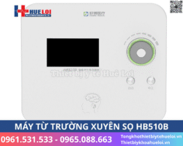 kích thích từ trường xuyên sọ cường độ thấp